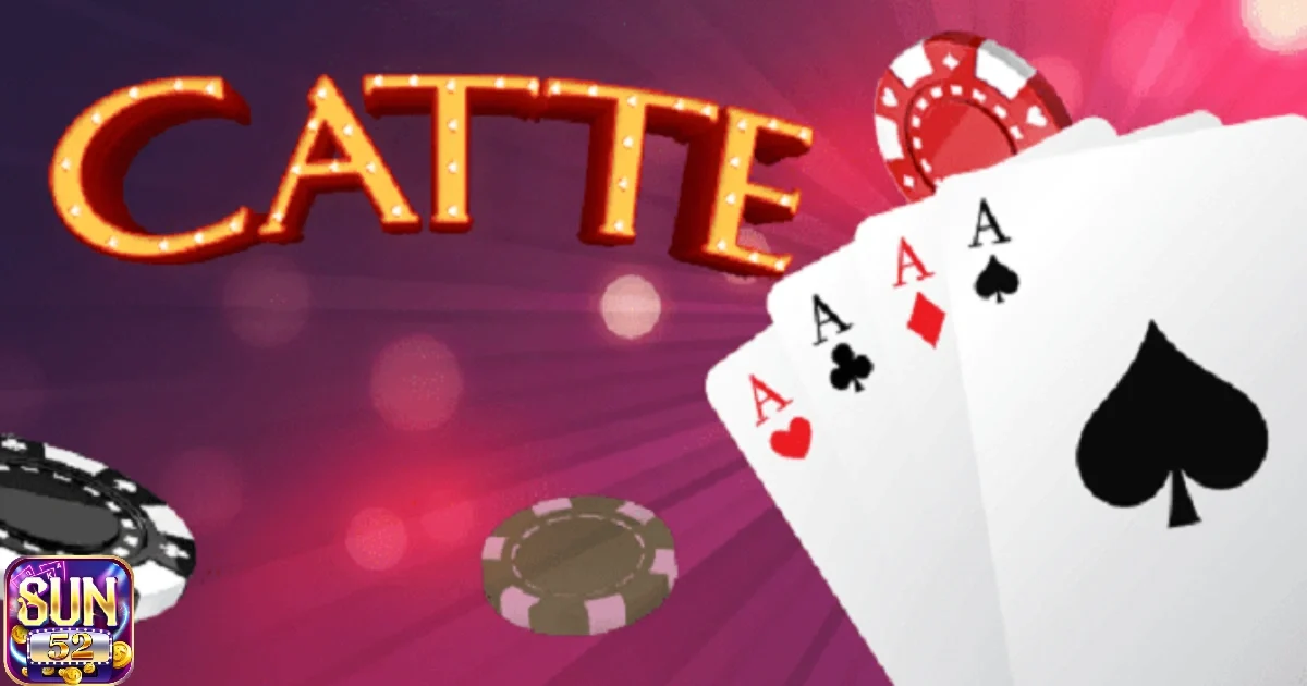 Cách chơi bài Catte & Các chiến lược hiệu quả khi chơi Catte 2 Hướng dẫn cách chơi bài catte